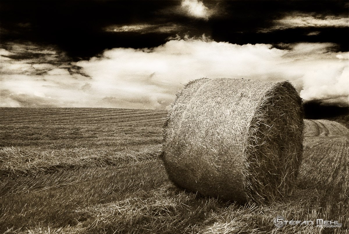 Harvest