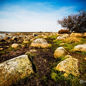 Rocks
